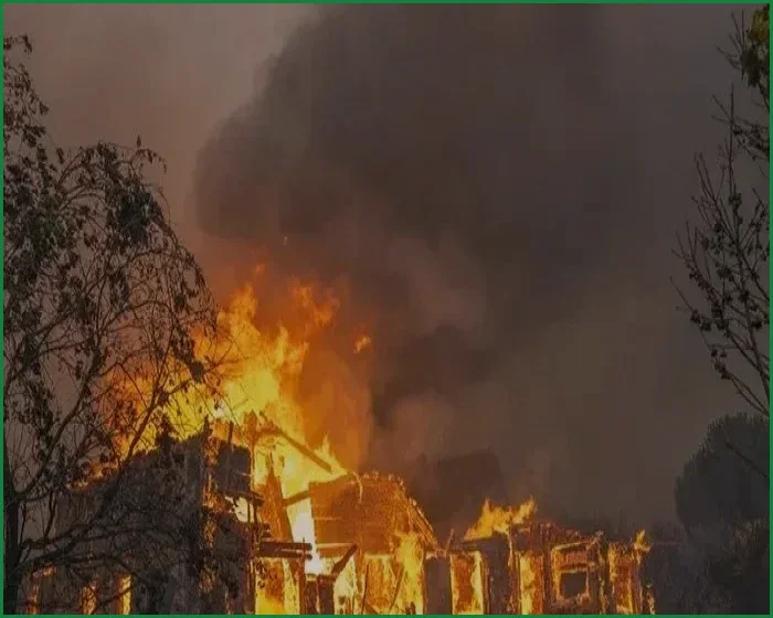 ইউরোপে দাবানলের ভয়াবহ তাণ্ডব, ফ্রান্স ও স্পেনে চরম সংকট