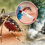জুলাইয়ে ডেঙ্গু আক্রান্ত চারগুণ ও মৃত্যু তিনগুণ বেড়েছে