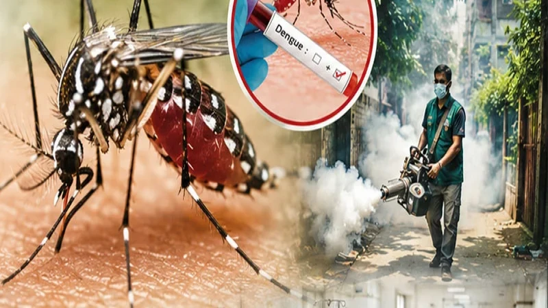 জুলাইয়ে ডেঙ্গু আক্রান্ত চারগুণ ও মৃত্যু তিনগুণ বেড়েছে