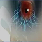 দাজ্জালের ফিতনা থেকে মুক্তির উপায়: সুরা কাহাফের বিশেষ ফজিলত
