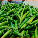 দিনাজপুরের বীরগঞ্জে কাঁচা মরিচের দাম ৩০০ টাকা ছাড়াল