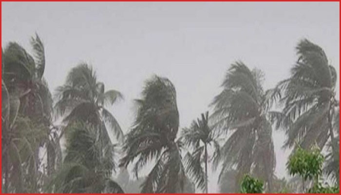 দুপুরের মধ্যে ৮ জেলায় ঝড়-বৃষ্টির পূর্বাভাস দিয়েছে আবহাওয়া অফিস