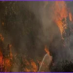 ফ্রান্স ও স্পেনে ভয়াবহ দাবানল, ঘরবাড়ি ছেড়েছেন দুই লাখের বেশি মানুষ