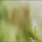 অসহায় মানুষের পাশে দাঁড়ানোই প্রকৃত ইবাদত ও মানবতার ধর্ম