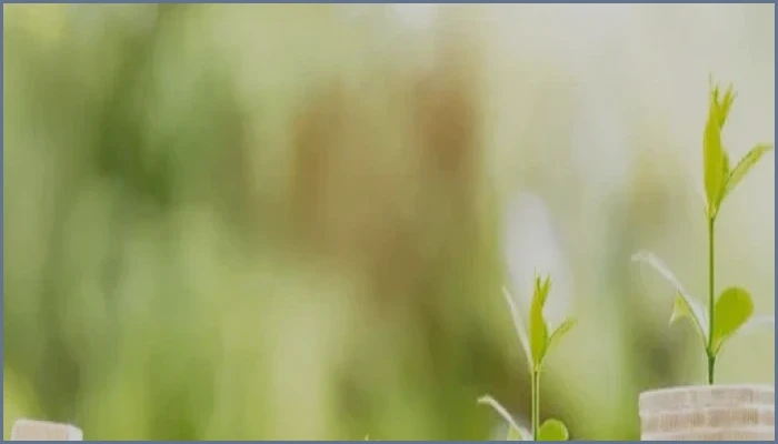 অসহায় মানুষের পাশে দাঁড়ানোই প্রকৃত ইবাদত ও মানবতার ধর্ম