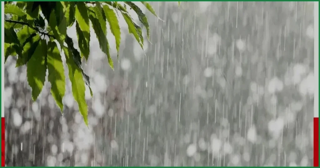 আগামী পাঁচ দিনে বৃষ্টির প্রবণতা কমার পূর্বাভাস আবহাওয়া অফিসের