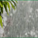 আগামী পাঁচ দিনে বৃষ্টির প্রবণতা কমার পূর্বাভাস আবহাওয়া অফিসের
