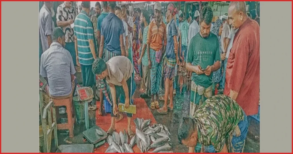 ইলিশের ভরা মৌসুমেও শূন্য বরিশালের পোর্ট রোডের আড়ত