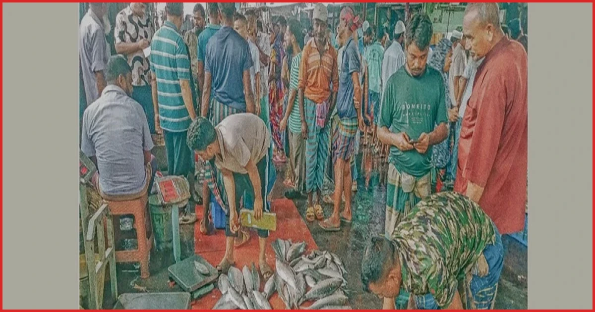 ইলিশের ভরা মৌসুমেও শূন্য বরিশালের পোর্ট রোডের আড়ত