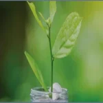ইসলামে যেসব পেশা সম্পূর্ণ হারাম ও নিষিদ্ধ