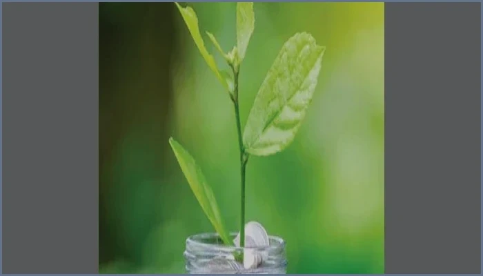 ইসলামে যেসব পেশা সম্পূর্ণ হারাম ও নিষিদ্ধ