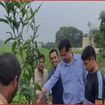 কুষ্টিয়ায় গাছ বিতরণের পাশাপাশি পরিচর্যার দায়িত্বও নিচ্ছেন চিকিৎসক মুসা