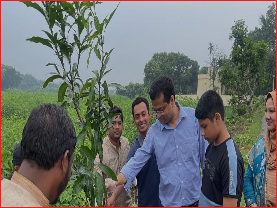 কুষ্টিয়ায় গাছ বিতরণের পাশাপাশি পরিচর্যার দায়িত্বও নিচ্ছেন চিকিৎসক মুসা