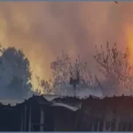 গ্রিসে বারবিকিউ থেকে দাবানল ছড়ানোর অভিযোগে ইসরায়েলি নাগরিক আটক