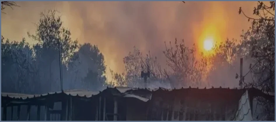 গ্রিসে বারবিকিউ থেকে দাবানল ছড়ানোর অভিযোগে ইসরায়েলি নাগরিক আটক