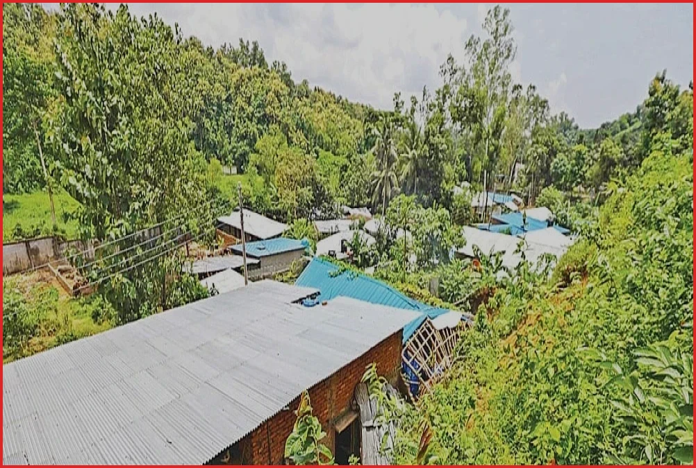 চট্টগ্রামের পাহাড়ে গড়ে উঠছে আরেকটি জঙ্গল সলিমপুর