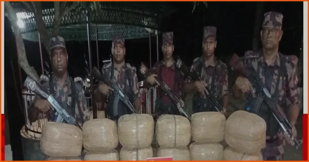 চৌদ্দগ্রাম সীমান্তে বিজিবির অভিযানে ৮০ কেজি ভারতীয় গাঁজা উদ্ধার