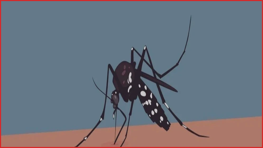 ডেঙ্গুতে আরও ২ জনের মৃত্যু, হাসপাতালে ভর্তি ৭৩০ জন