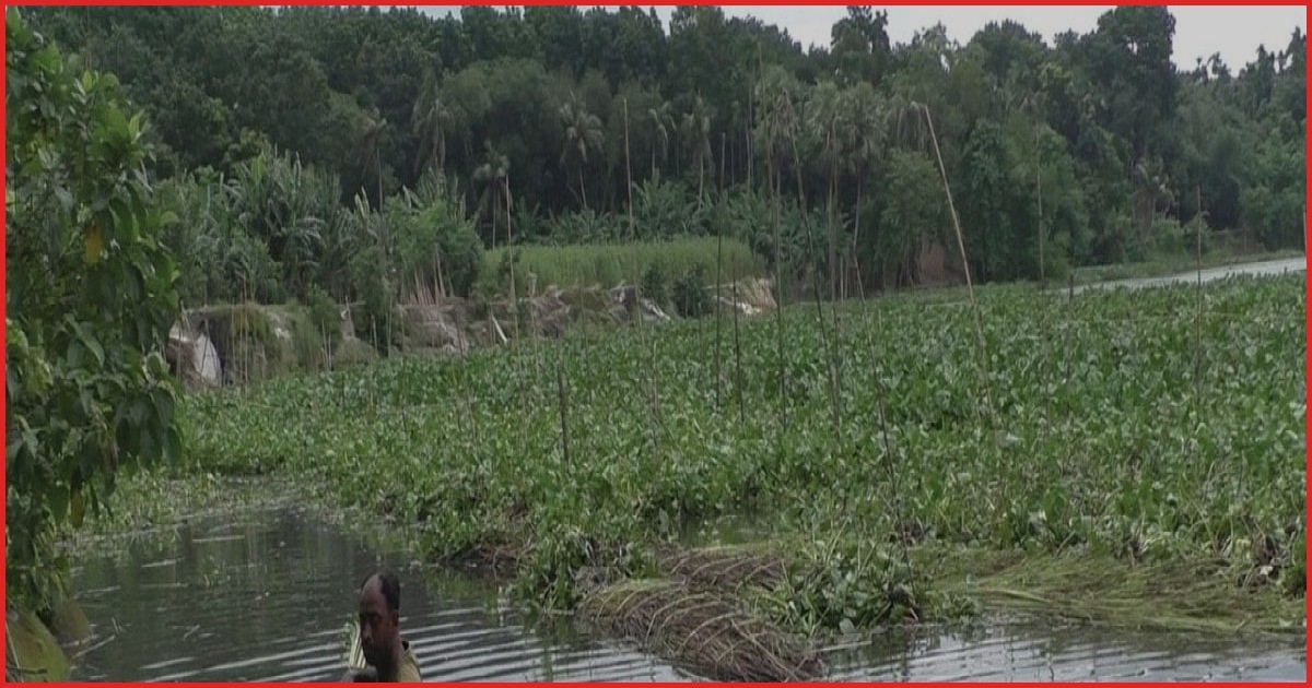 নড়াইলের চিত্রা ও নবগঙ্গা নদী এখন দূষণের কবলে