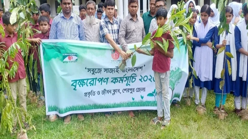 নালিতাবাড়ীতে প্রকৃতি ও জীবন ক্লাবের উদ্যোগে বৃক্ষরোপণ ও চারা বিতরণ