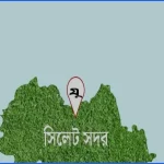প্রভাষক সেজে এইচএসসি খাতা মূল্যায়ন: শোকজ পেল গ্রিনহিল কলেজ