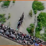 ফরিদপুরে দুইশত বছরের ঐতিহ্যবাহী নৌকা বাইচ হলো একটি নৌকা দিয়েই