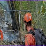 ব্রাজিলের রিওতে হেলিকপ্টার বিধ্বস্ত হয়ে ৪ জনের মৃত্যু