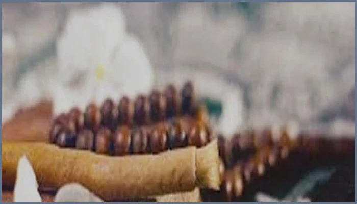 মিসওয়াক করে নামাজ পড়ার ফজিলত ও সুন্নত পদ্ধতি