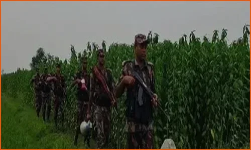 মেহেরপুরে বিএসএফের হাতে কৃষক আটক, পাল্টা দুই ভারতীয়কে ধরল গ্রামবাসী
