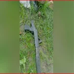 লুট হওয়া অস্ত্র ও পলাতক বন্দী নিয়ে বাড়ছে নিরাপত্তা উদ্বেগ