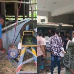 শৈলকুপায় ঘাস কাটার মেশিনে বিদ্যুৎস্পৃষ্ট হয়ে স্বামী-স্ত্রীর মৃত্যু