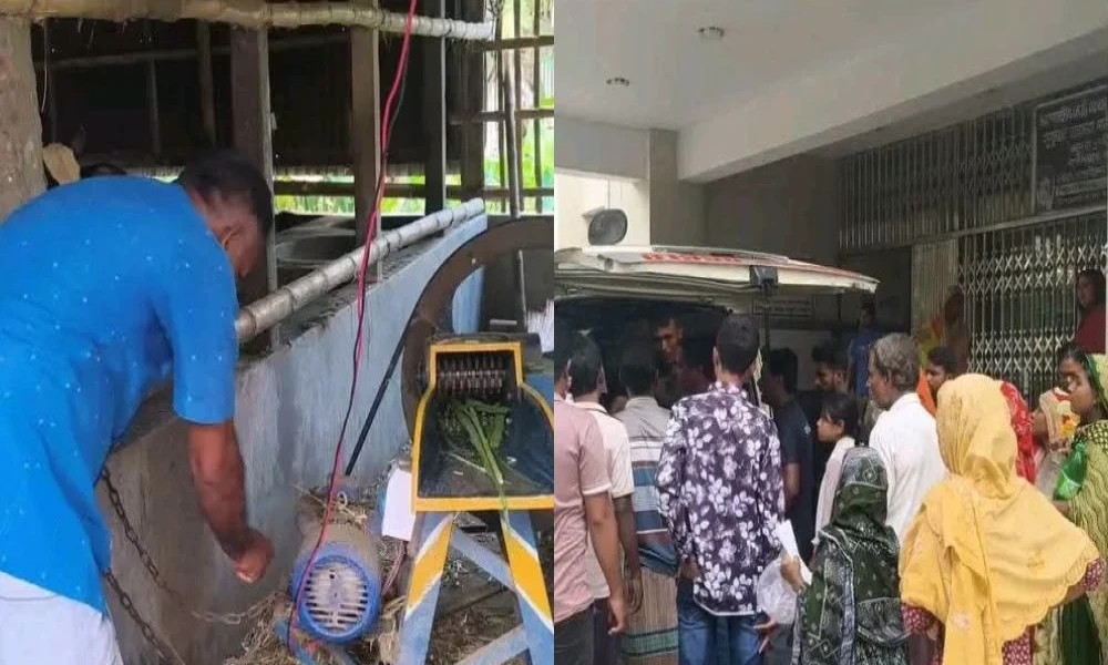 শৈলকুপায় ঘাস কাটার মেশিনে বিদ্যুৎস্পৃষ্ট হয়ে স্বামী-স্ত্রীর মৃত্যু