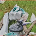 সাভারে বোমা উদ্ধার: ১১ নাশকতার ঘটনায় একই গোষ্ঠীর পরিকল্পনা