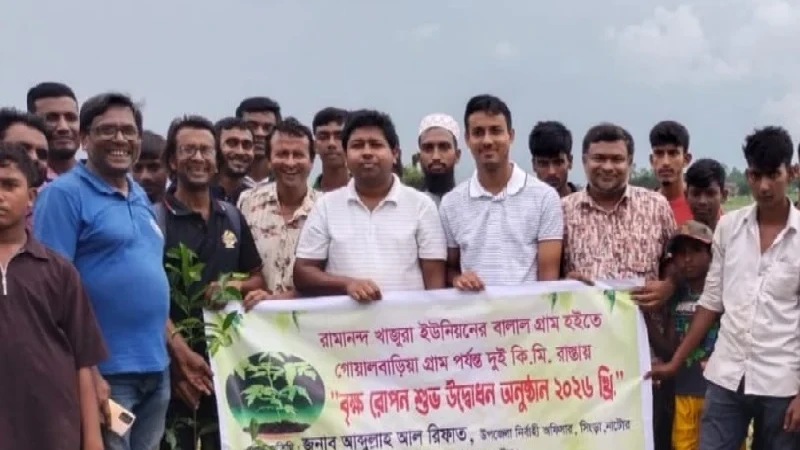 সিংড়ায় দুই কিলোমিটার সড়কে বৃক্ষরোপণ কর্মসূচি