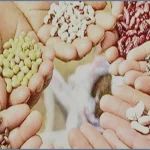 স্বাবলম্বিতায় আসে সুখ ও সফলতা: ইসলামি দৃষ্টিভঙ্গি ও গুরুত্ব
