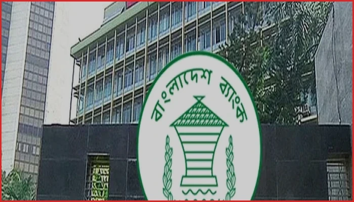৪২ শীর্ষ ঋণখেলাপির পাচার করা সম্পদ উদ্ধারে ৮ বিদেশি সংস্থা