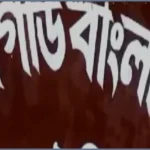 ঠাকুরগাঁওয়ের পীরগঞ্জে বিএসএফের গুলিতে বাংলাদেশি যুবক নিহত