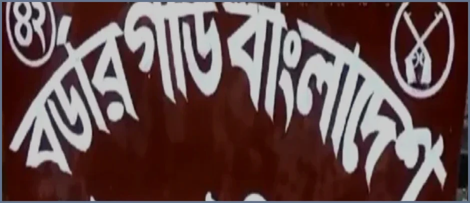 ঠাকুরগাঁওয়ের পীরগঞ্জে বিএসএফের গুলিতে বাংলাদেশি যুবক নিহত
