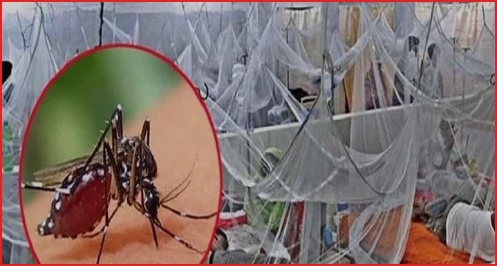 ডেঙ্গু পরিস্থিতি: ২৪ ঘণ্টায় আরও ৫ জনের মৃত্যু, আক্রান্ত ১৩২৪