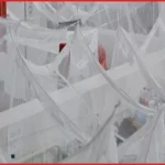 ডেঙ্গুতে ২৪ ঘণ্টায় ৯ জনের মৃত্যু, যা এ বছরের সর্বোচ্চ