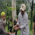 নোবিপ্রবি ছাত্রদলের বৃক্ষরোপণ: ৪৮ শহীদের স্মরণে ৪৮ নিমগাছ