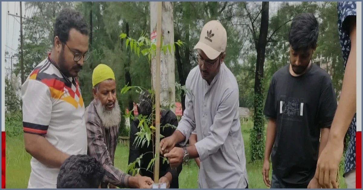 নোবিপ্রবি ছাত্রদলের বৃক্ষরোপণ: ৪৮ শহীদের স্মরণে ৪৮ নিমগাছ