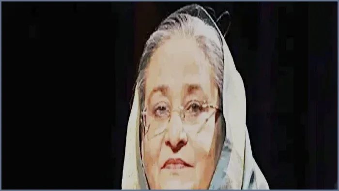 শেখ হাসিনার অনুপস্থিতিতে দলের দায়িত্ব নেবেন শেখ সেলিম