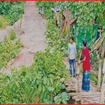 সংযোগ সড়ক না থাকায় দেড় বছরেও অচল উজিরপুরের ৬ কোটি টাকার সেতু