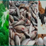 সবজির বাজারে স্বস্তি ফিরলেও মাছ-মুরগি-ডিমে এখনো অস্বস্তি