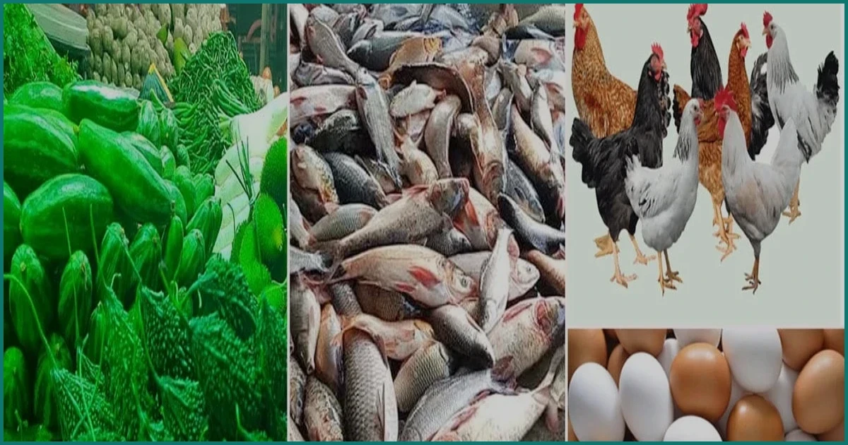 সবজির বাজারে স্বস্তি ফিরলেও মাছ-মুরগি-ডিমে এখনো অস্বস্তি