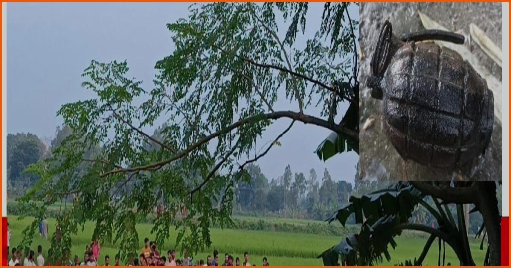 সৈয়দপুরে পুকুরে মিলল সক্রিয় গ্রেনেড, নিষ্ক্রিয় করতে র‍্যাবের ইউনিট