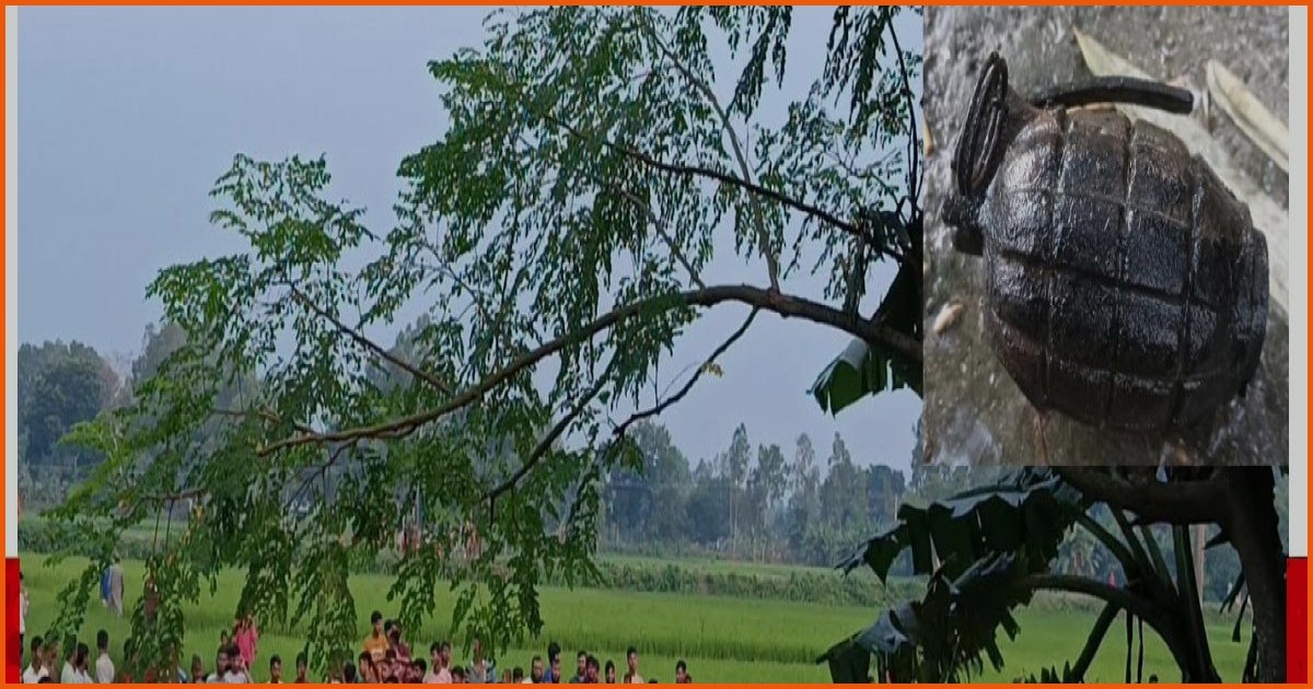 সৈয়দপুরে পুকুরে মিলল সক্রিয় গ্রেনেড, নিষ্ক্রিয় করতে র‍্যাবের ইউনিট